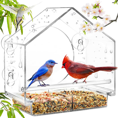 Clear Window Bird Feeder with Suction Cups