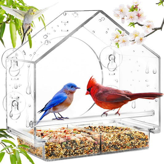 Clear Window Bird Feeder with Suction Cups