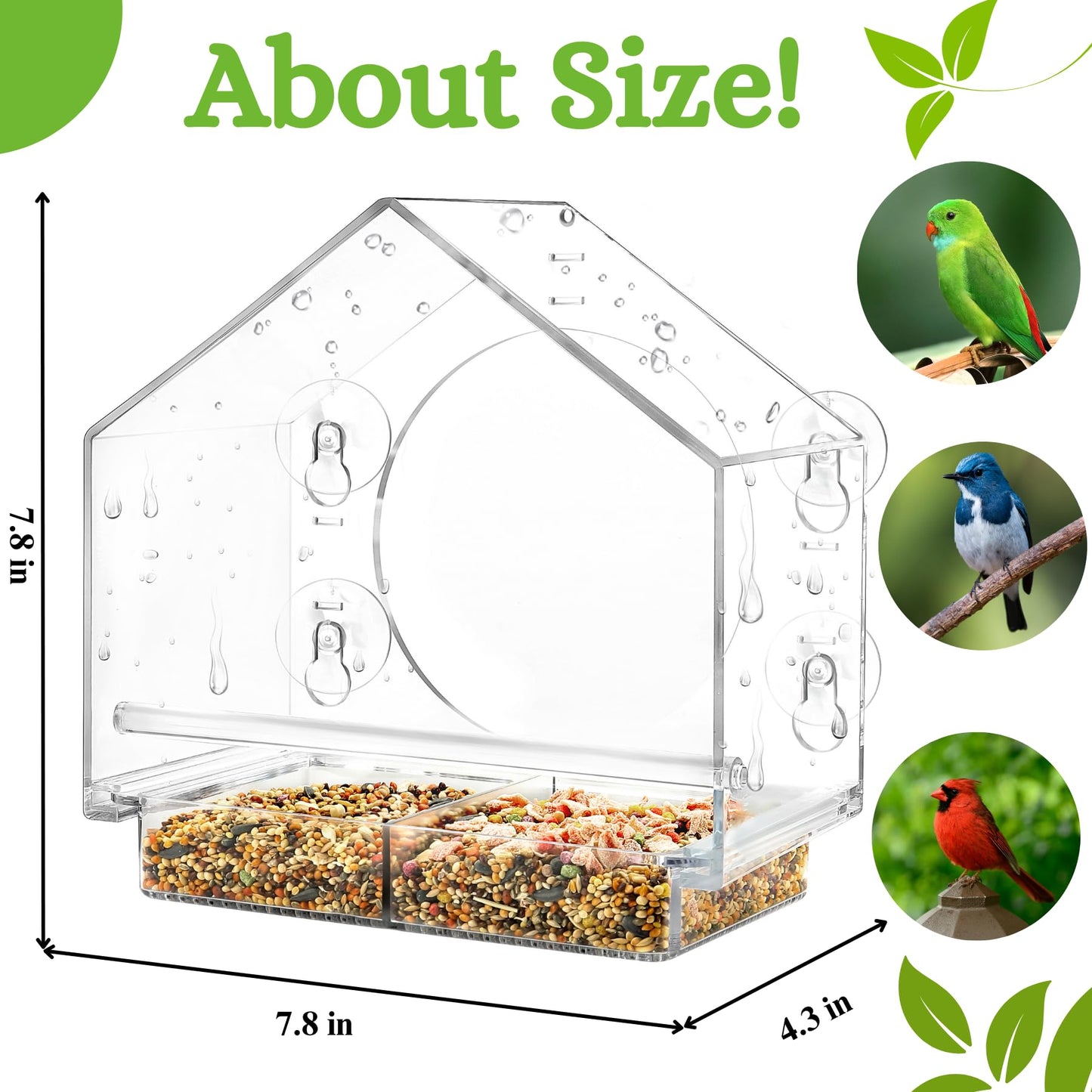 Clear Window Bird Feeder with Suction Cups