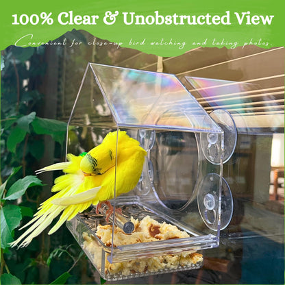 Clear Window Bird Feeder with Suction Cups