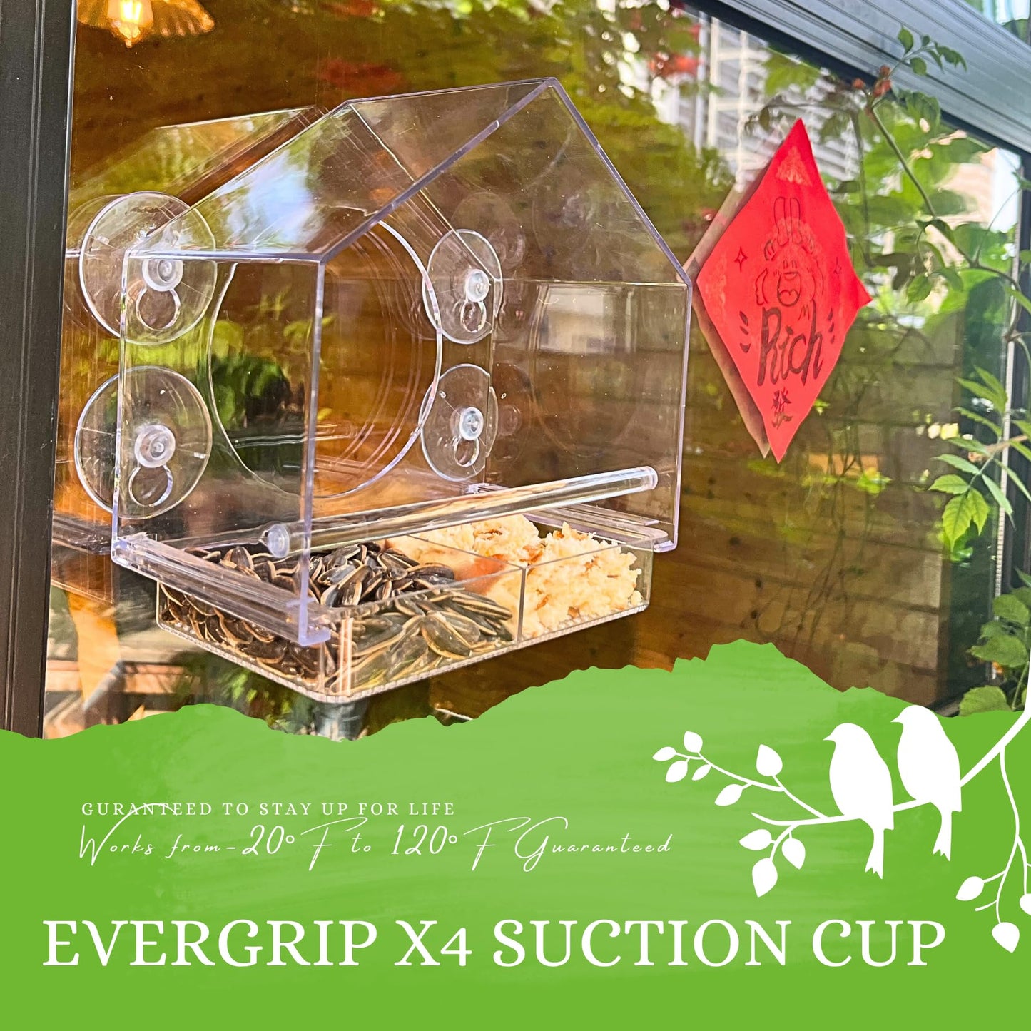 Clear Window Bird Feeder with Suction Cups